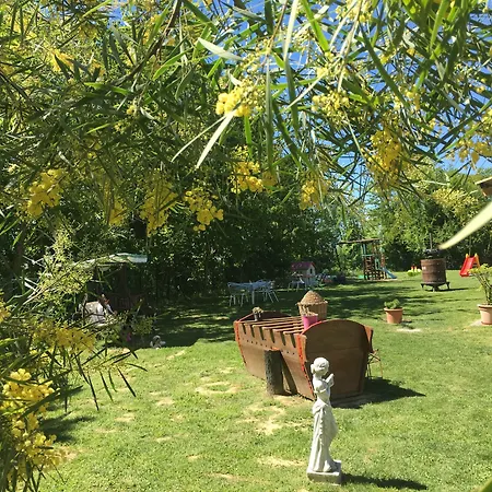 La Rosa Tra Le Vigne Bed & Breakfast *