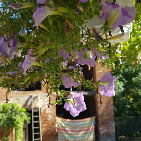 La Rosa Tra Le Vigne Bed & Breakfast