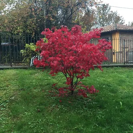 La Rosa Tra Le Vigne Belveglio