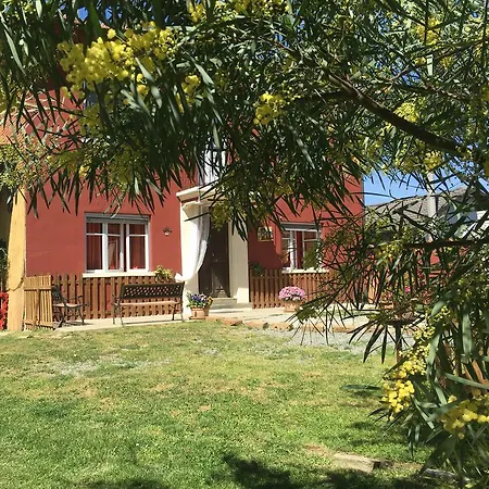 La Rosa Tra Le Vigne Bed & Breakfast