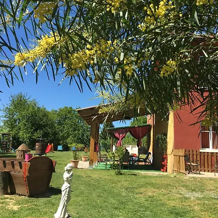 La Rosa Tra Le Vigne